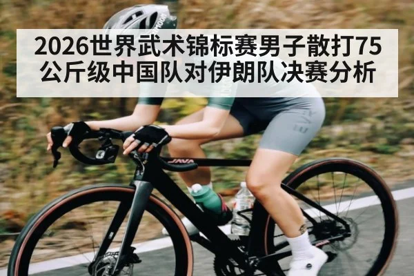 2026世界武术锦标赛男子散打75公斤级中国队对伊朗队决赛分析 | ng28